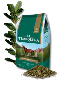 Diseño sin título (49)