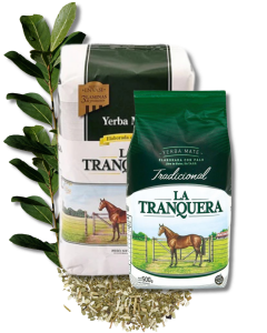 Diseño sin título (52)